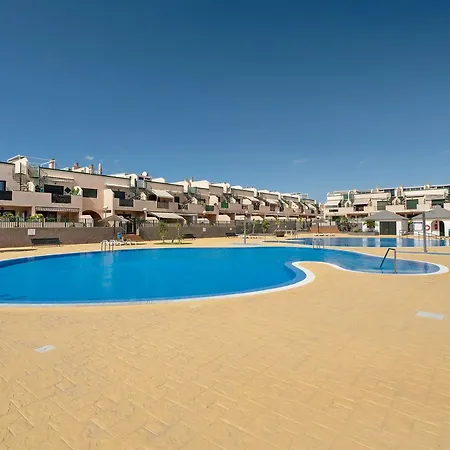 Geranios * Arona (Tenerife)